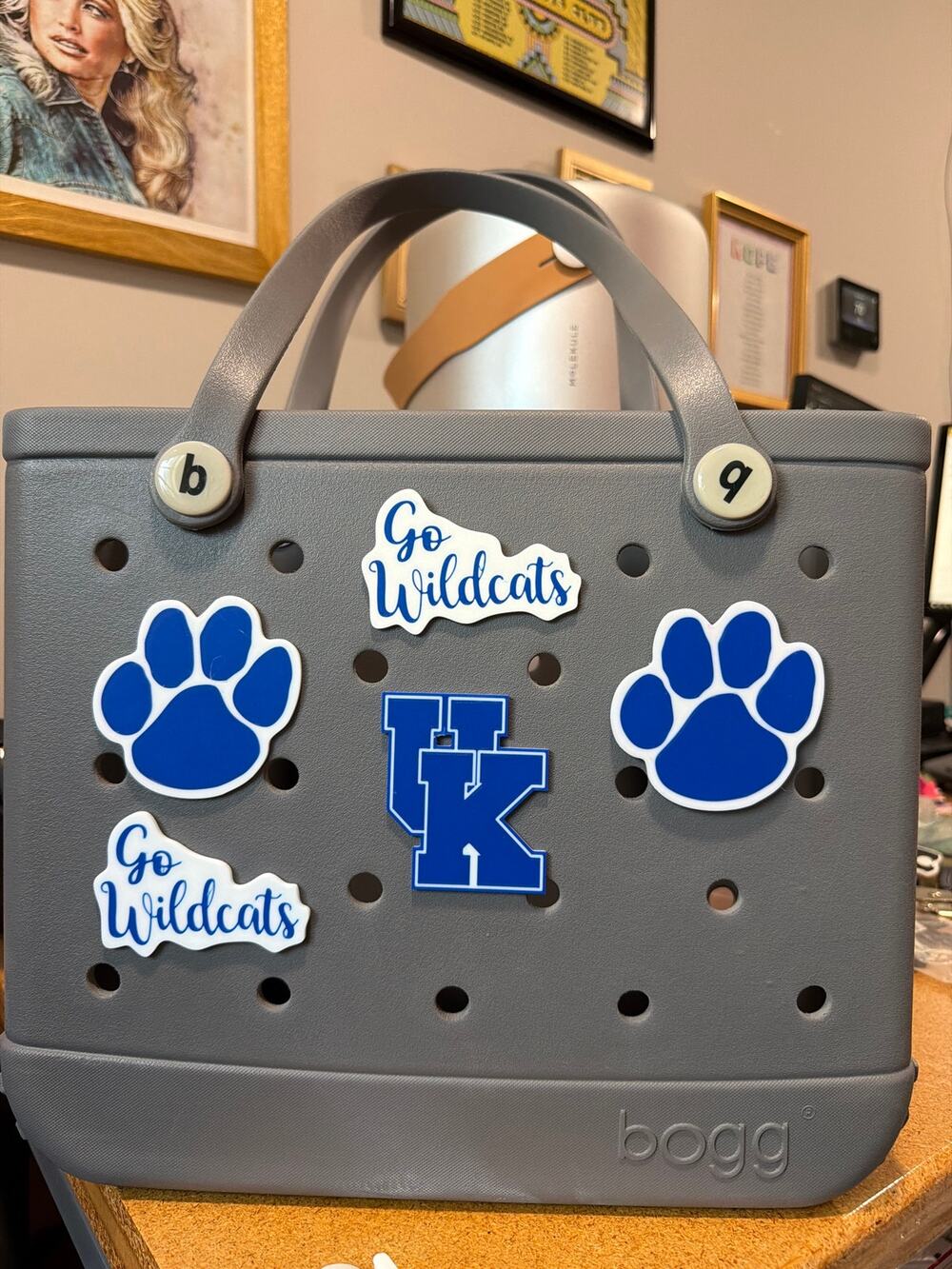 Lot of 5 Kentucky Wildcats Bogg Bag Charms - Slightly Imperfect